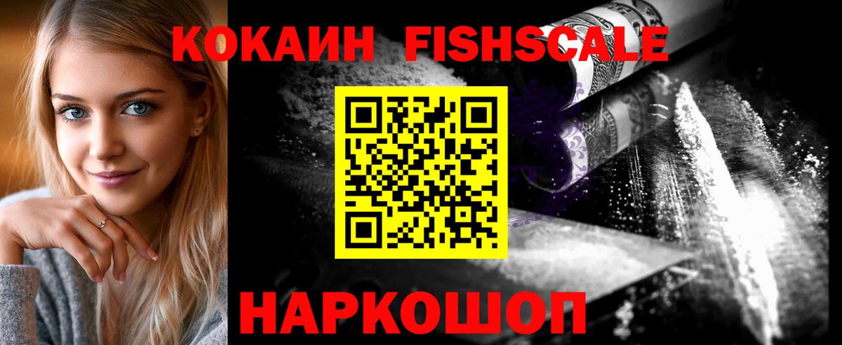 где найти   COCAIN Fish Scale  Вход с VPN  Строитель 