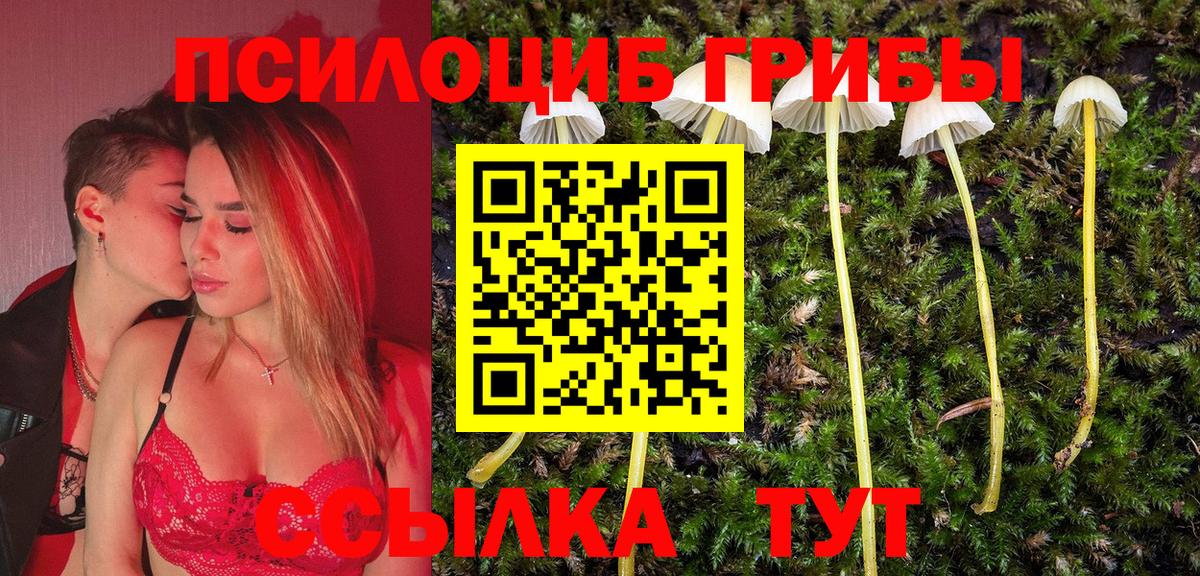 Галлюциногенные грибы Magic Shrooms Строитель