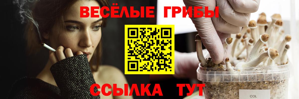 Строитель  Галлюциногенные грибы GOLDEN TEACHER  Вход с VPN  Псилоцибиновые грибы мухоморы 