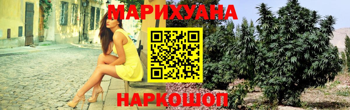 Марихуана планчик  Каннабис сатива  Вход с VPN  Строитель 